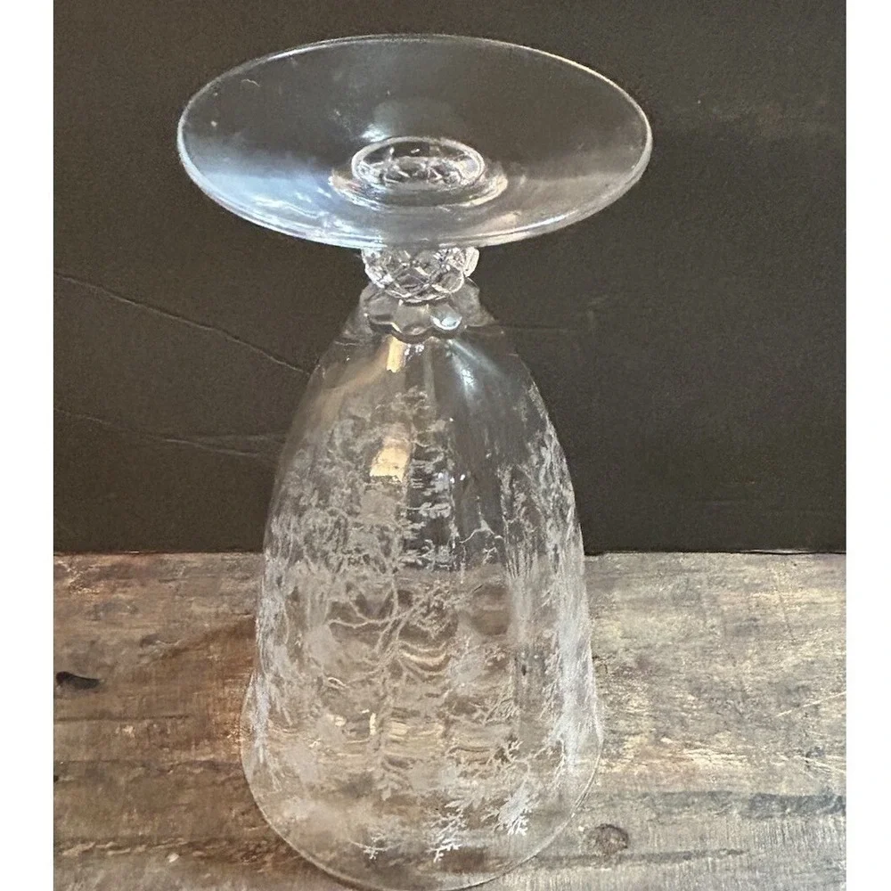 Fostoria Chintz Baroque Etched Floral Clear Glass Footed Water Goblet Stemware